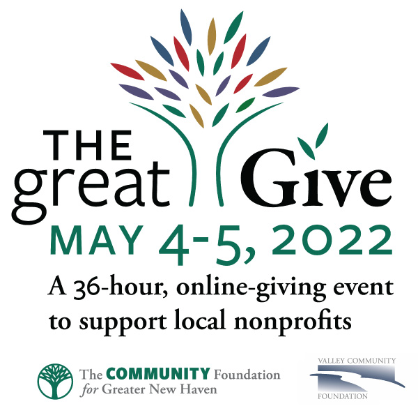 The Great Give® The Institute Library